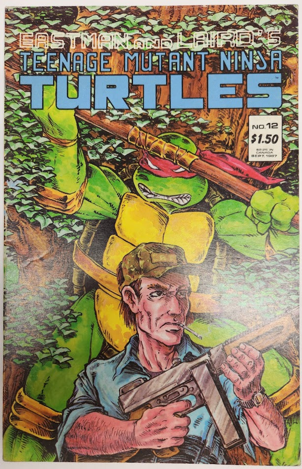 Teenage Mutant Ninja Turtles #12 - VF