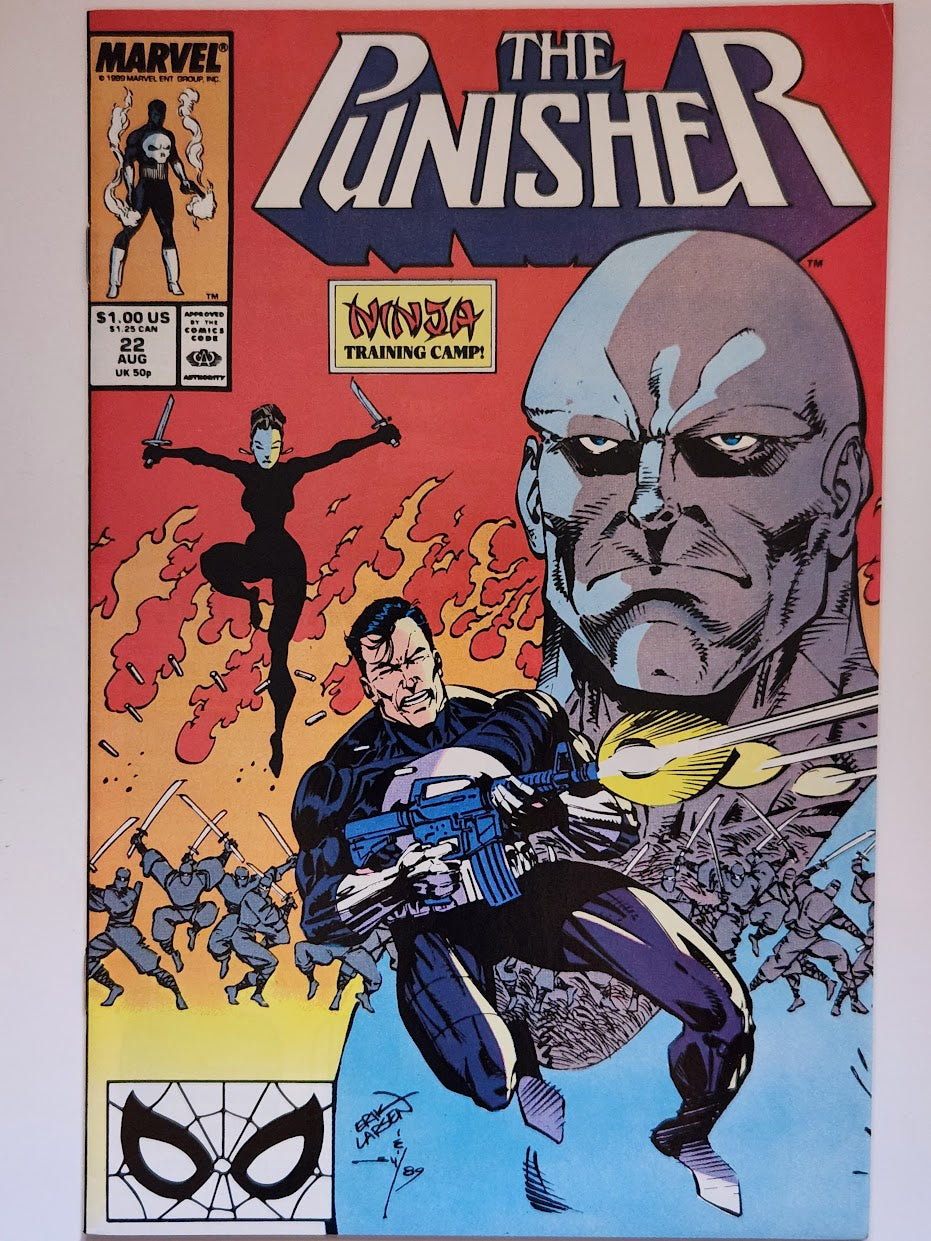 The Punisher #22 - FN