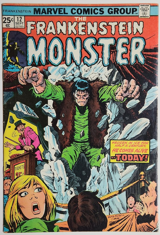 Frankenstein #12 - FN